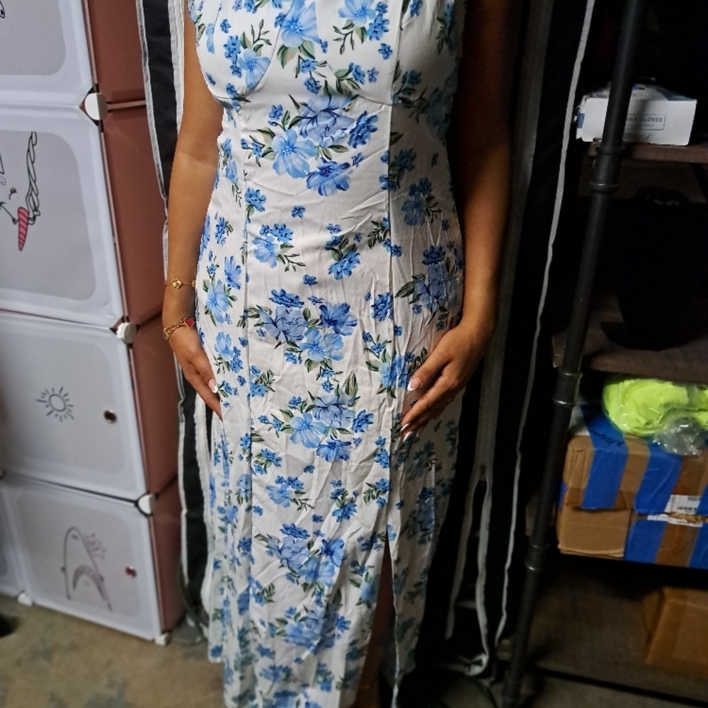 Floral Blue and White Dress